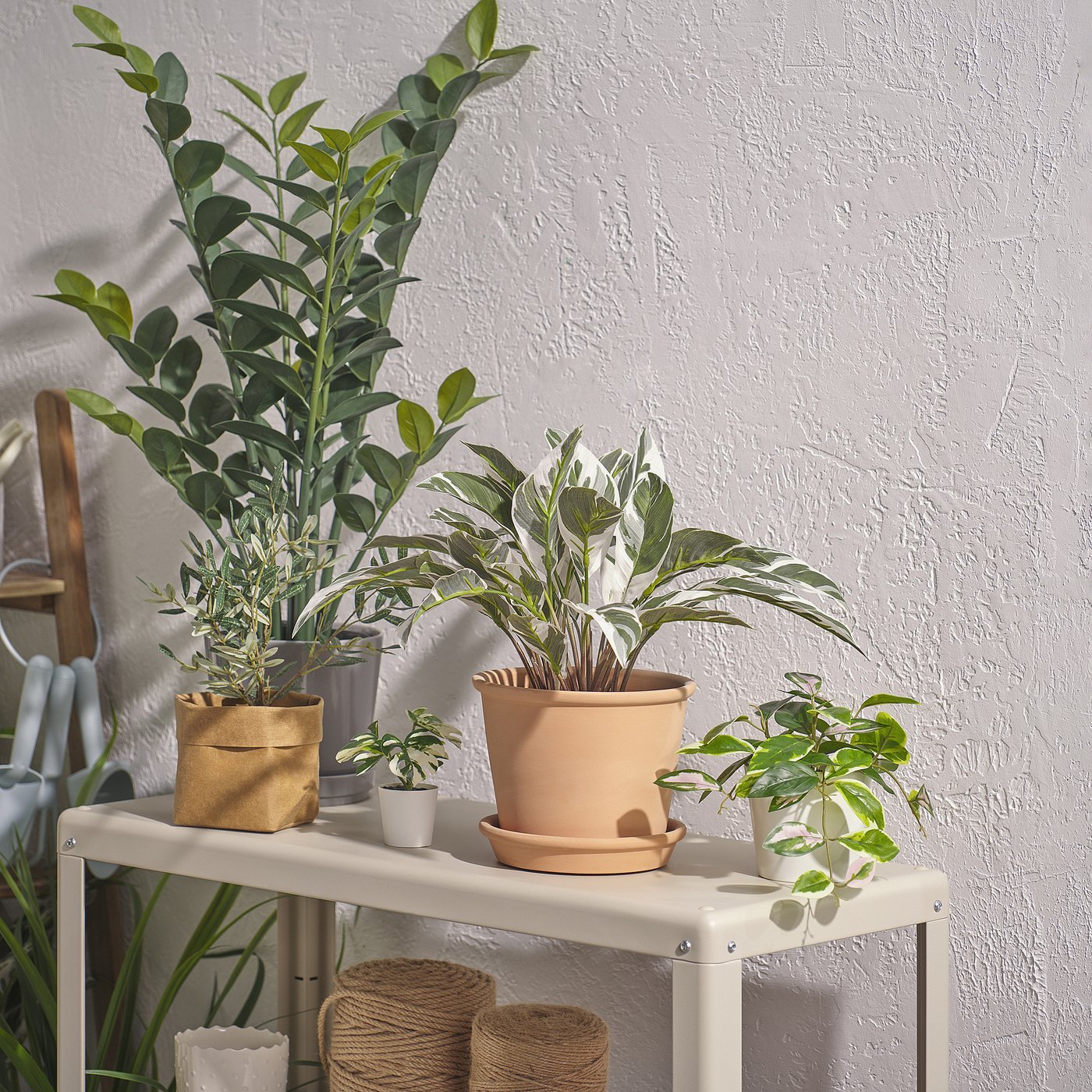 Artificial potted plant, in/outdoor calathea, 15 cm - Image 2