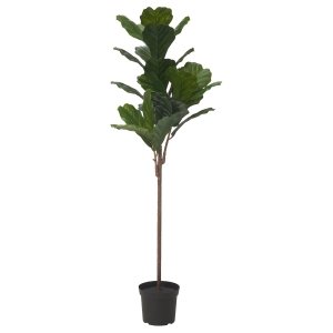 Artificial potted plant, in/outdoor fiddle-leaf fig, 19 cm