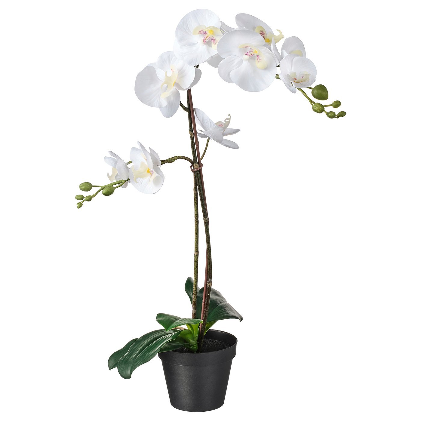 Artificial potted plant, Orchid white, 12 cm