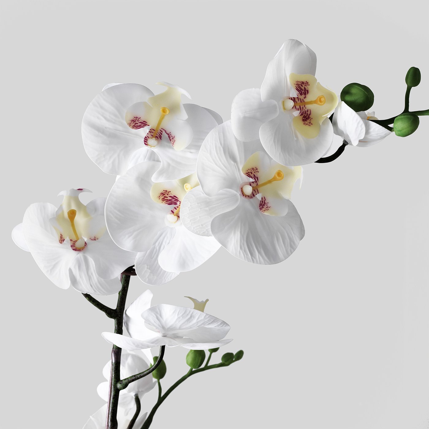 Artificial potted plant, Orchid white, 12 cm - Image 2